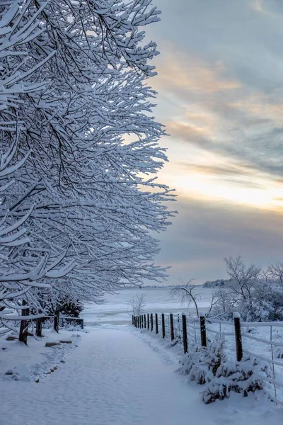 日出时分 公园里有人行道和被雪覆盖的树木的垂直照片 — 图库照片