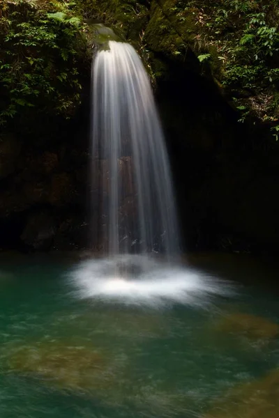 Ein Kleiner Schöner Wasserfall Tiefen Wald Ein Wanderweg Senkrecht — Stockfoto