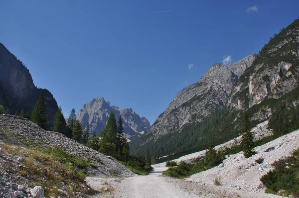 Grote Bergen Met Rotsachtige Toppen Van Alpen Omgeven Door Groene — Stockfoto