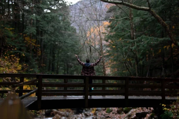ニューハンプシャー州の秋に森の橋の上に立っていた男 — ストック写真