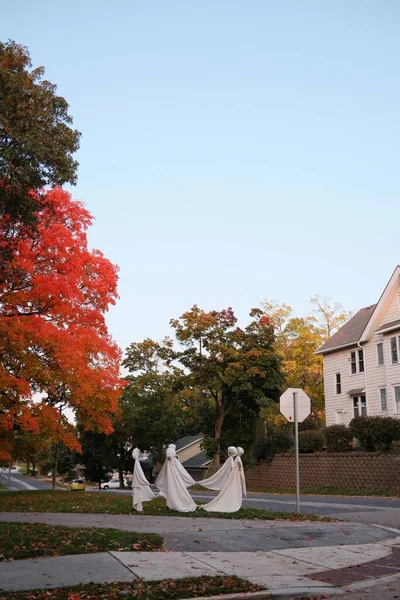 Uma Vertical Árvores Com Folhas Coloridas Folhagem Outono Capturada Uma — Fotografia de Stock