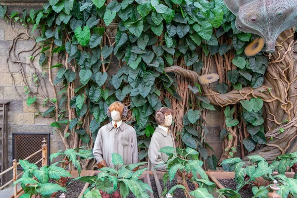 ハリー ポッター スタジオ ツアーの温室内のマンドレークと学生の人形 — ストック写真