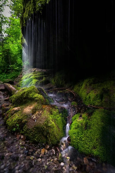 森の中の滝 — ストック写真