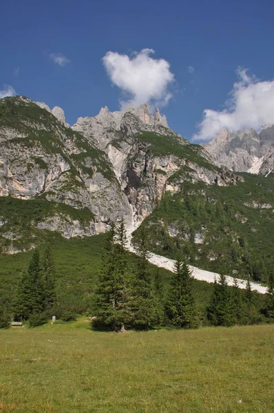 美丽的阿尔卑斯山的纵断面 岩石的山峰覆盖着绿树 — 图库照片