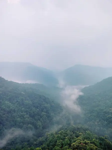 Vertikální Letecký Pohled Hornatou Krajinu Svěžími Lesy Mlhavého Počasí — Stock fotografie