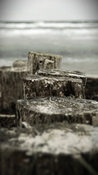 Вертикальний Знімок Старих Дерев Яних Колод Морському Узбережжі — стокове фото