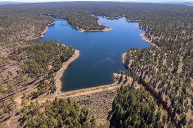 Willow Springs Gölü 'nün Arizona, ABD' deki bir ormanın yakınındaki bir hava aracı görüntüsü.