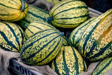 Bal kabağı meyvesinin yakın plan çekimi.