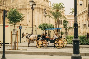 İspanya, Sevilla 'da bir sokakta atları olan siyah ve sarı bir araba.
