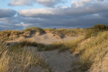 Gündüz vakti bulutlu bir gökyüzüne karşı kuru bir tepenin manzarası
