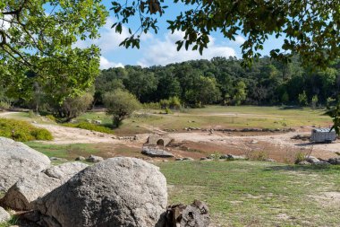 İspanya 'da bir gölün yakınındaki ağaçlar