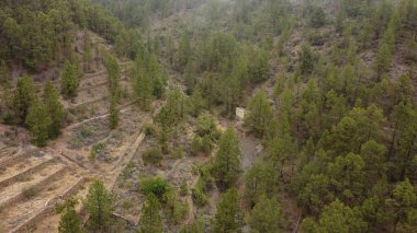 Mount, Tenerife, Kanarya Adaları 'ndaki teras çiftliklerinin hava görüntüsü.