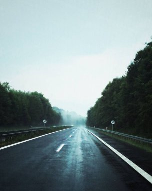 Kasvetli bir günde uzun ağaçlarla çevrili güzel bir yol görüntüsü.