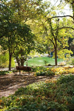 Dubuque botanik bahçesindeki bir gölün yakınındaki yemyeşil bir ağacın altındaki bankın dikey görüntüsü.
