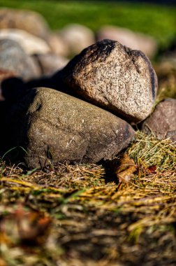 Ormandaki bir grup kayanın dikey yakın çekimi.