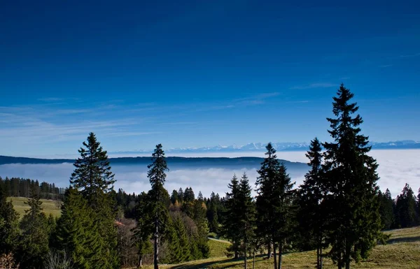 Bosque Verde Cima Colina Con Las Nubes Las Grandes Montañas —  Fotos de Stock