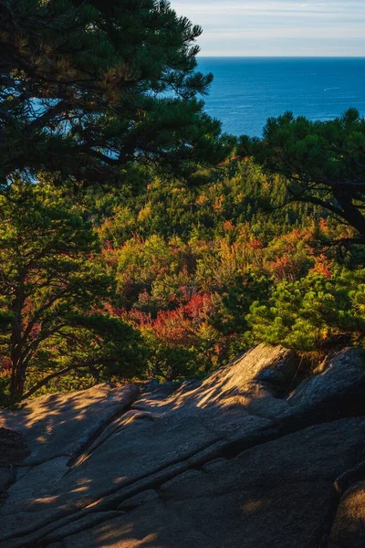 Ett Naturskönt Höstlandskap Acadias Nationalpark — Stockfoto