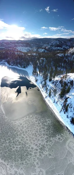 Tiro Vertical Bela Vista Inverno Com Floresta Coberta Neve Cênica — Fotografia de Stock
