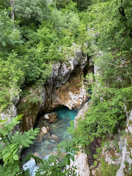 緑豊かな森林の背景を持つソカ川やイゾンツォ川と渓谷の美しいシーン スロベニア — ストック写真