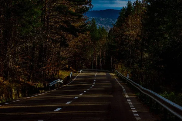 Ландшафтный Снимок Покрытых Тротуарами Дорог Пролежал Через Лес Голубым Небом — стоковое фото