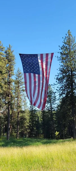 stock image A panoramic shot of an americal flag with a forest in the background