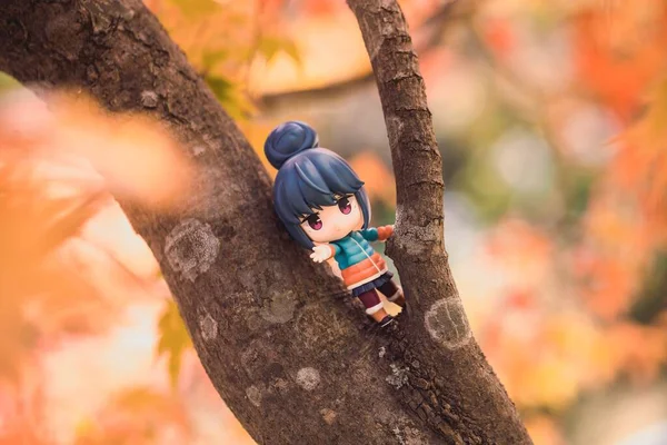 Игрушка Рин Шимы Лагеря Юру Ветке Осенней Листвы Национальном Парке — стоковое фото