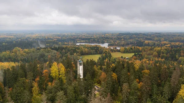 Een Drone Shot Van Suur Munamagi Tower Haanja Estland Omgeven — Stockfoto