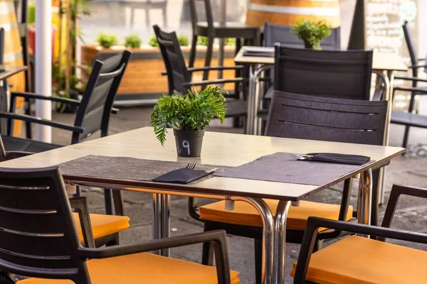 通りのカフェでは プラチナ カトラリー 装飾植物付きのディナーテーブル — ストック写真
