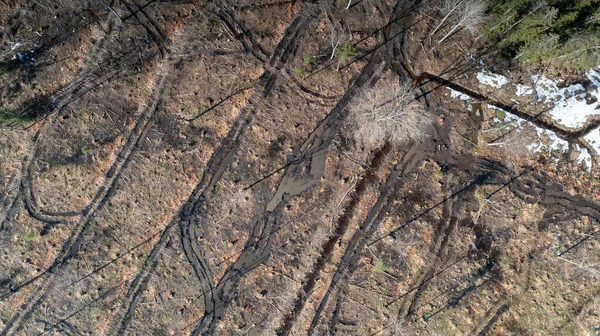 에스토니아 파르누의 손상된 토양을 드론으로 — 스톡 사진