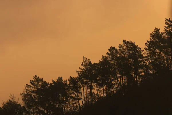 Ένα Βουνό Καλυμμένο Δέντρα Μια Σκιά Ένα Ηλιοβασίλεμα Στο Βάθος — Φωτογραφία Αρχείου