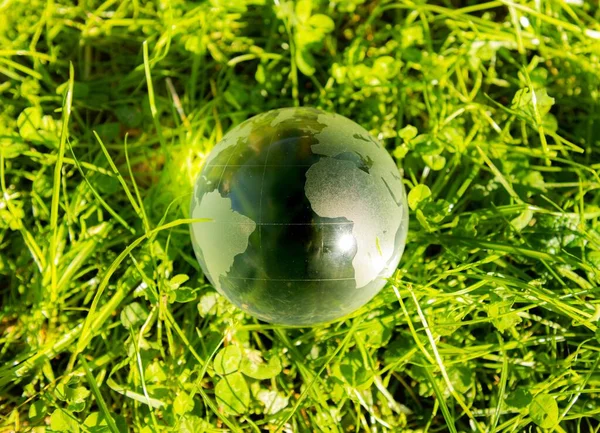 Крупный План Маленького Глобуса Траве Солнечный День — стоковое фото