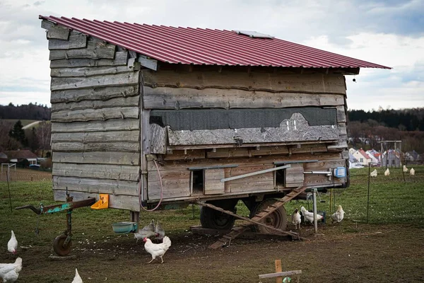 Ein Hölzerner Hühnerstall Auf Einem Bauernhof Grünen — Stockfoto