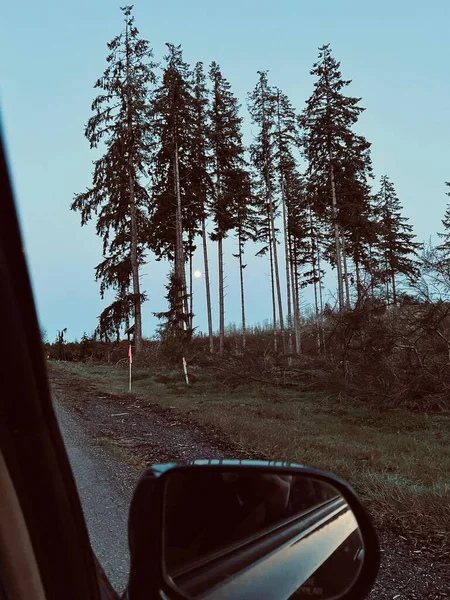 Bäume Straßenrand Aus Auto Mit Außenspiegel Display Erbeutet — Stockfoto