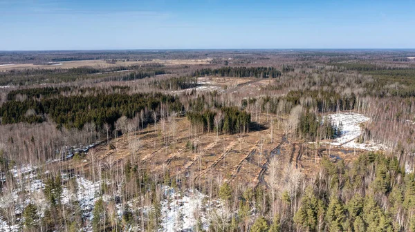 stock image A drone shot of a damaged soil of a defenestrated areaoin Parnu, Estonia