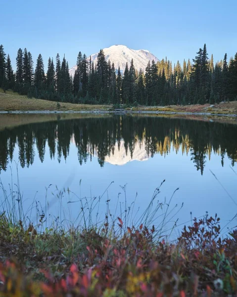 Mount Rainier Reflection Lake Blue Sky Background — Stock Photo, Image