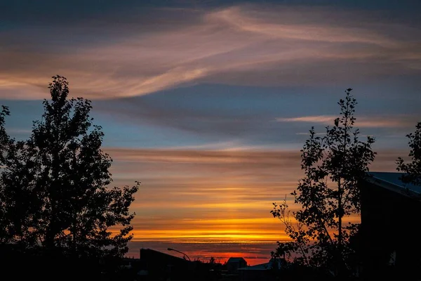 日落时带着树木轮廓的渐变色彩的多云天空风景照片 — 图库照片