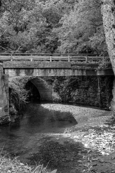 Une Échelle Gris Verticale Une Rivière Sarconi Pont Italie — Photo