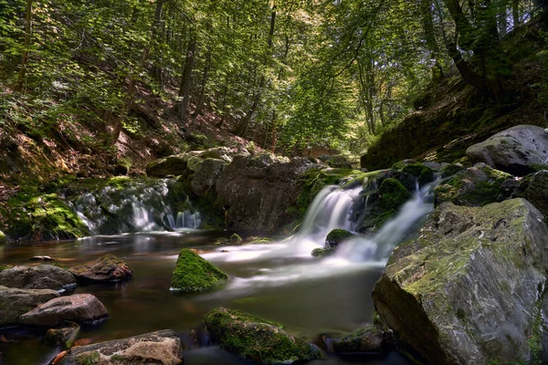 Uma Cachoeira Com Rio Cercado Por Pedras Árvores Uma Floresta — Fotografia de Stock