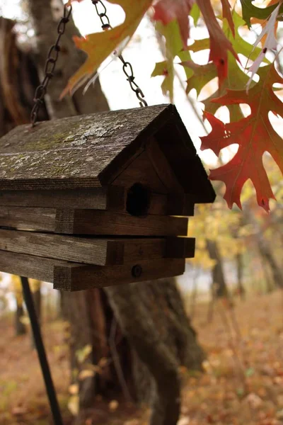 Vertikální Záběr Dřevěnou Ptačí Budku Zavěšenou Stromě Krásném Podzimním Lese — Stock fotografie