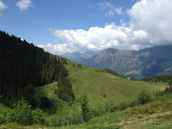 Scenic Shot Green Swiss Alps Sunny Day — Stock Photo, Image