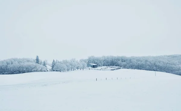 Ένα Χειμωνιάτικο Τοπίο Ενός Κρύου Απογεύματος Στη Μανιτόμπα Του Καναδά — Φωτογραφία Αρχείου
