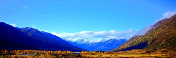 Alaska Güneşli Sarı Tarlaları Alçak Sisli Bulutların Altında Mavi Tepeleri — Stok fotoğraf