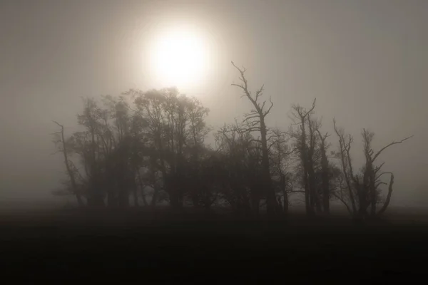 Ландшафтная Сцена Туманное Утро Озерный Округ Моста Пули Великобритания — стоковое фото