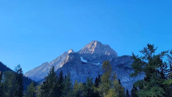 Eine Landschaft Mit Blick Auf Die Tannenwälder Und Berge Vor — Stockfoto
