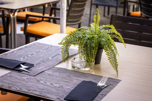 通りのカフェで鍋にプラセンタ カトラリー 灰皿とシダ植物とディナーテーブル — ストック写真