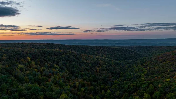 Μια Άποψη Υψηλής Γωνίας Ενός Όμορφου Σκοτεινού Πολύχρωμου Πυκνού Δάσους — Φωτογραφία Αρχείου