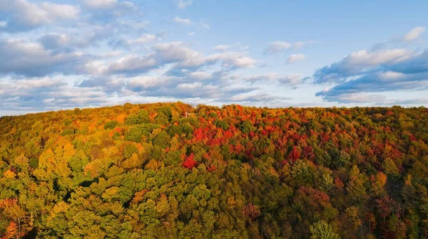 秋天树叶的天线 在蓝色的天空和蓬松的云彩下 是一片秋天的茂密的森林 — 图库照片