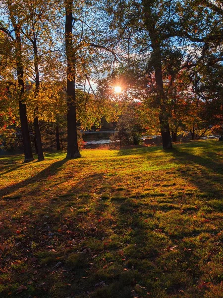 Vertikální Záře Slunečního Světla Zářící Mezi Stromy Pokrytými Podzimním Listím — Stock fotografie
