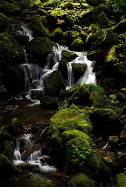 Живописный Водопад Лесу — стоковое фото