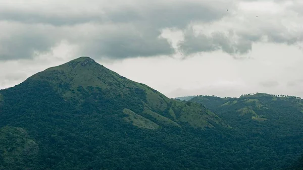 在多云的天空下 一片绿树成荫的山脉风景 — 图库照片